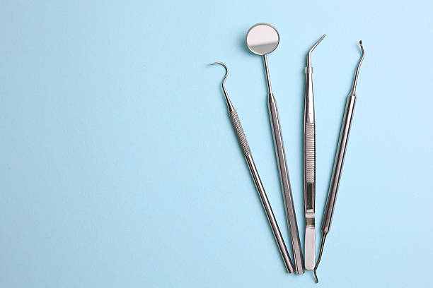 Top rated local Dental specialists in The Meadows, FL